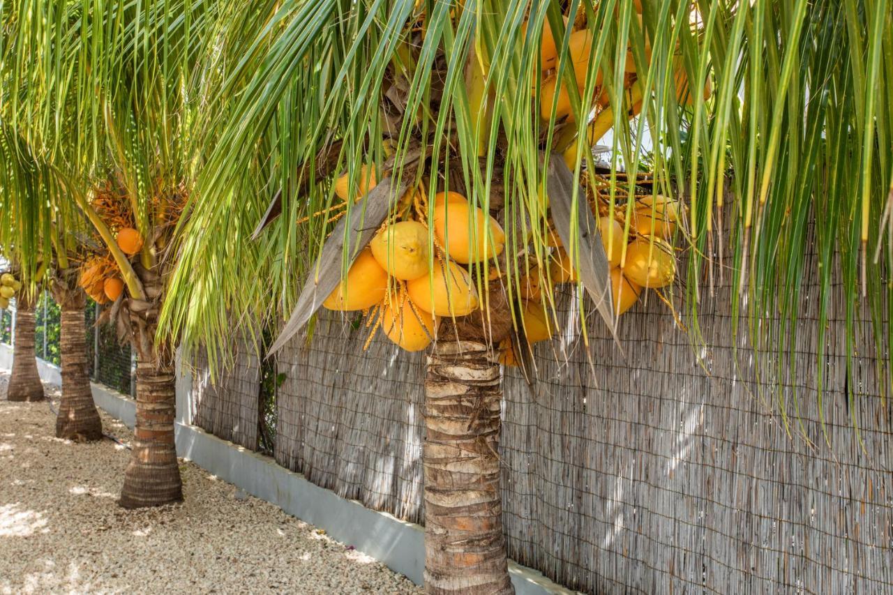 Paradise Apartments - Curacao Fontein Ngoại thất bức ảnh
